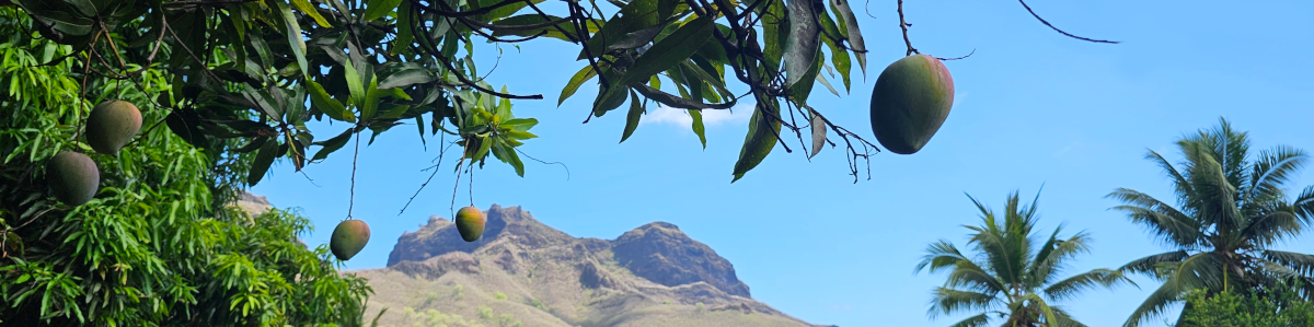Tatamai Lodge, votre hébergement à Nuku Hiva aux Marquises