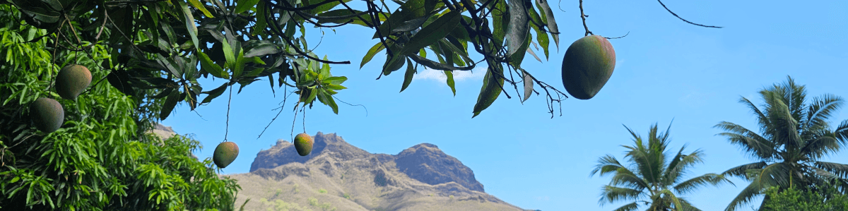 Tatamai Lodge, votre hébergement à Nuku Hiva aux Marquises